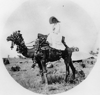 Woman on Camel.jpg