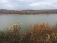 Tenn River Water Tower View.jpg